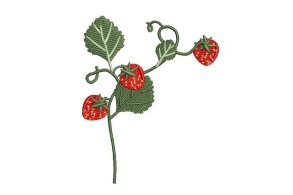 Strawberry Vine: A Boutique Embroidery Review